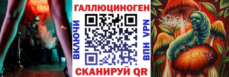гидра сайт  купить закладку  Багратионовск  Псилоцибиновые грибы Psilocybe 